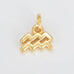 Gold Zodiac Charm