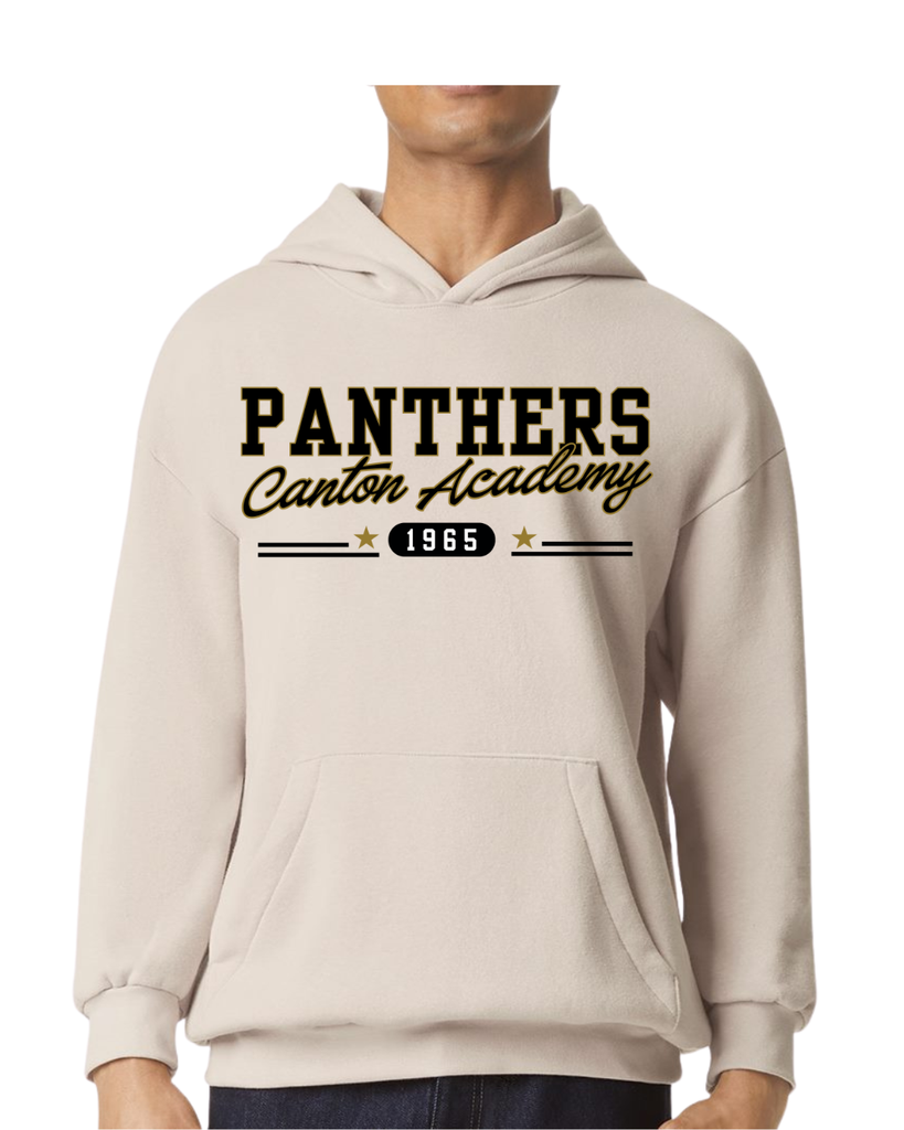 American Apparel Unisex Fleece Hoodie - Panthers
