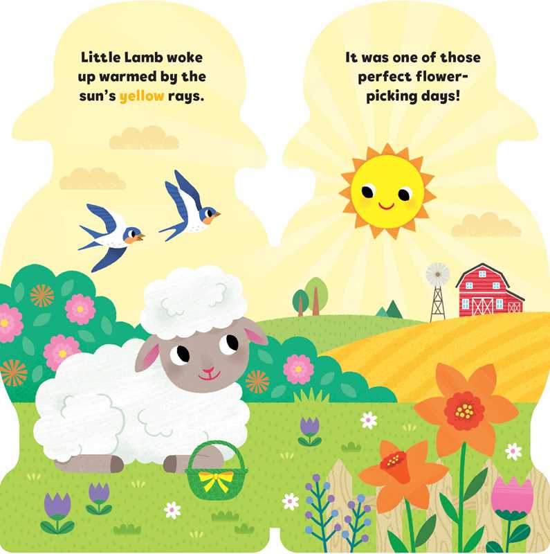 Little Lamb  Board Book