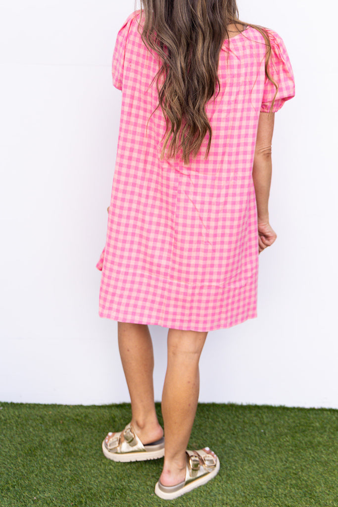 Come On Barbie Gingham Dress - Blush/ Pink