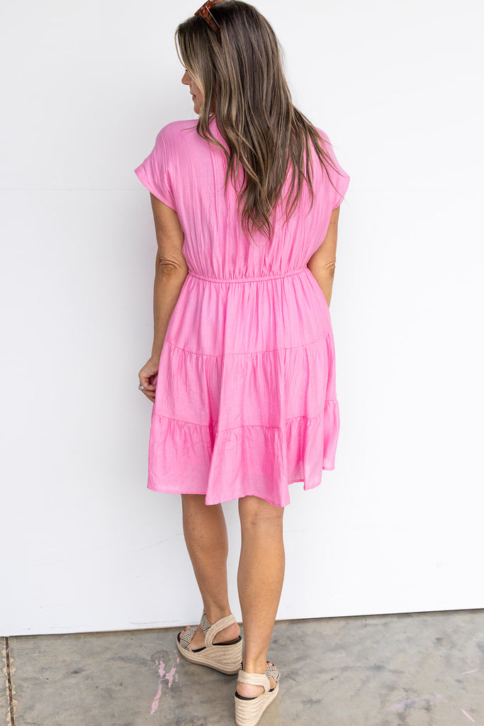 Teacher's Pet Dress - Pink