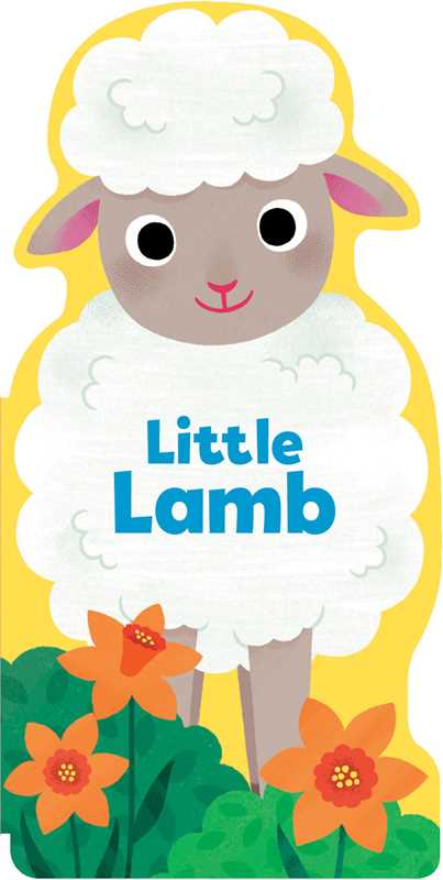 Little Lamb  Board Book