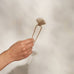 Metal Clam Shell French Hair Pin - Gold