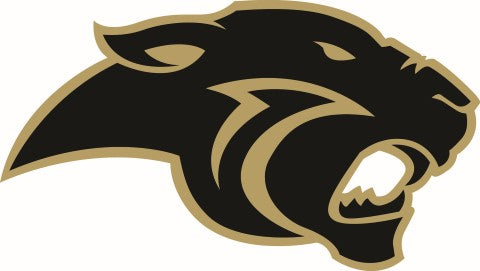 CA Panther Head