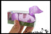 1 Sugar Dachshund Dog Ball Bag - Thick Glue/Gel Syrup Molass