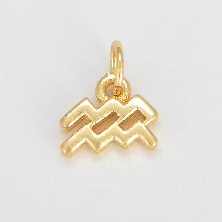 Gold Zodiac Charm