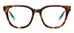 Le Fun Club (Blue Light): Tortoise/Pink / Reading / 2.50