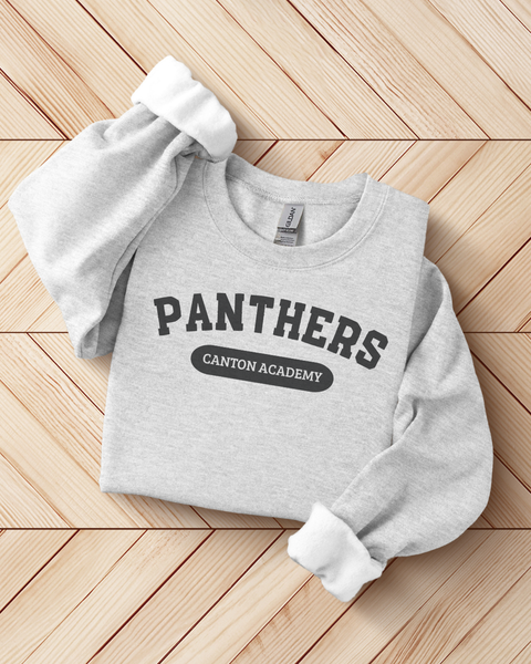 Panthers Unisex Gildan Sweatshirt- Option 3