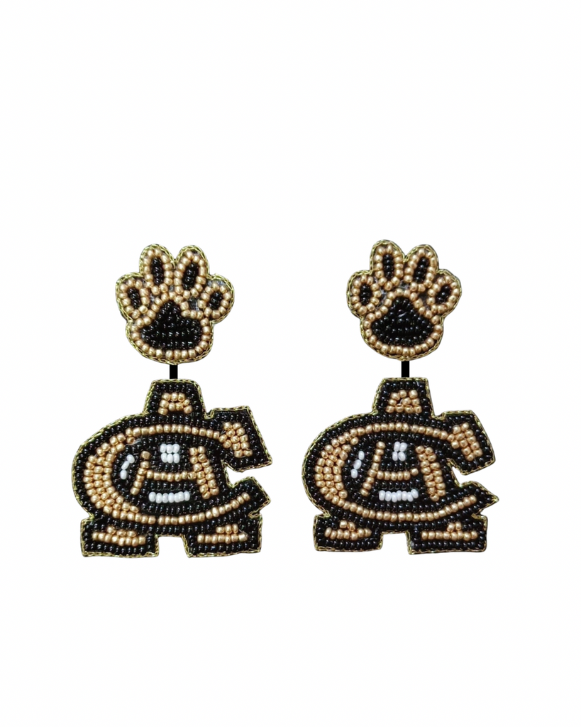 Canton Academy Earrings
