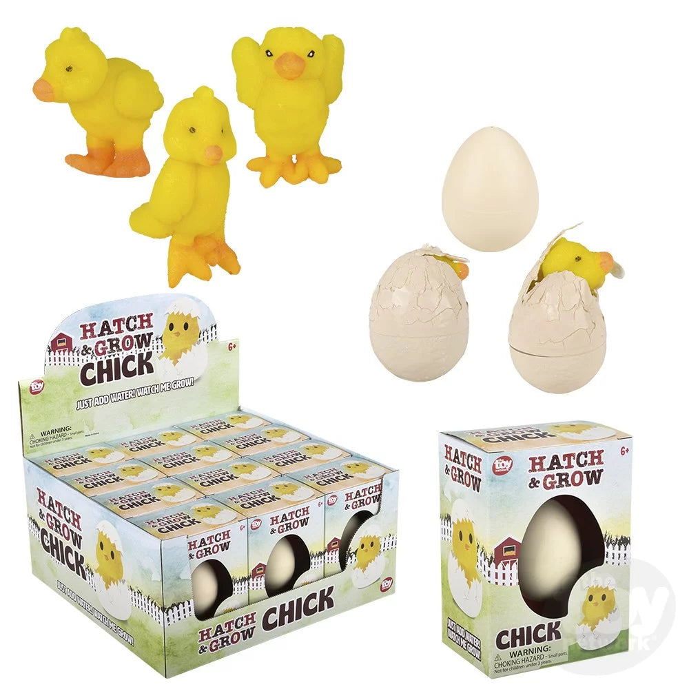 Hatch and Grow Chick