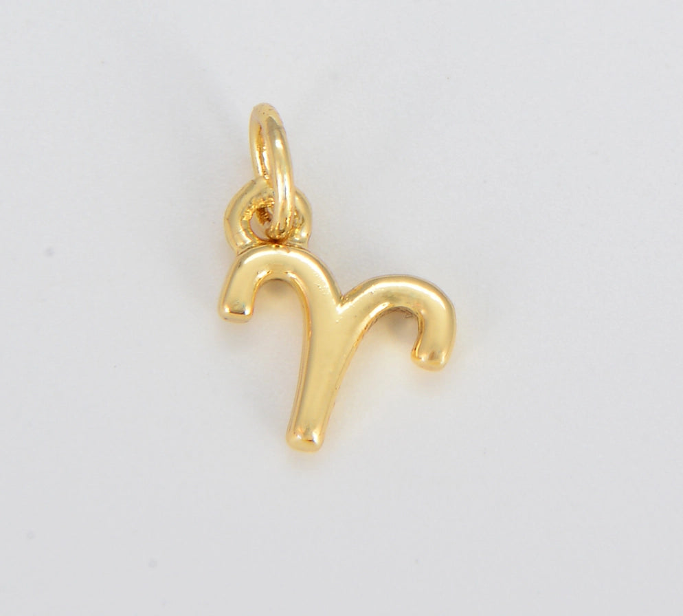 Gold Zodiac Charm