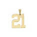 18K Gold Sport Number Pendant